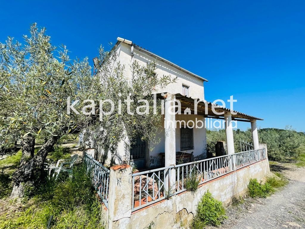 Finca (Casa rural), Albaida, Valencia, Comunidad Valenciana, España