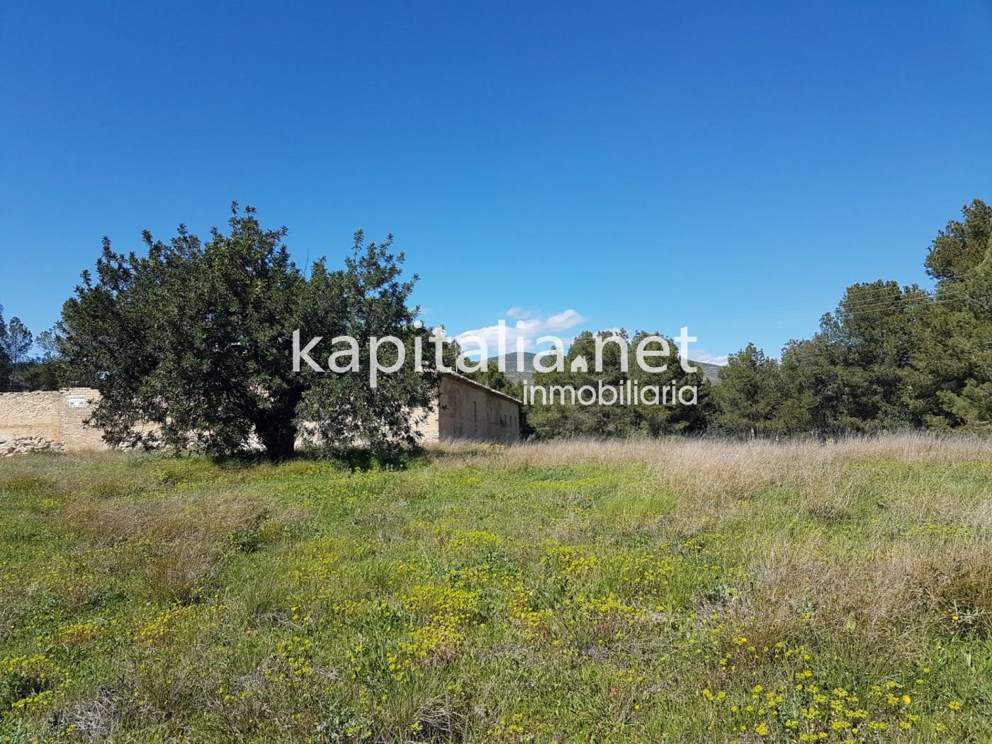 Finca (Casa rural), Ontinyent, Valencia, Comunidad Valenciana, España