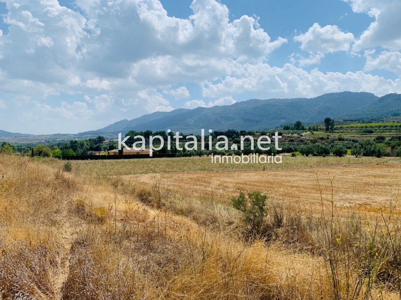 Building plot, Alfafara, Alicante, Comunidad Valenciana, Spain