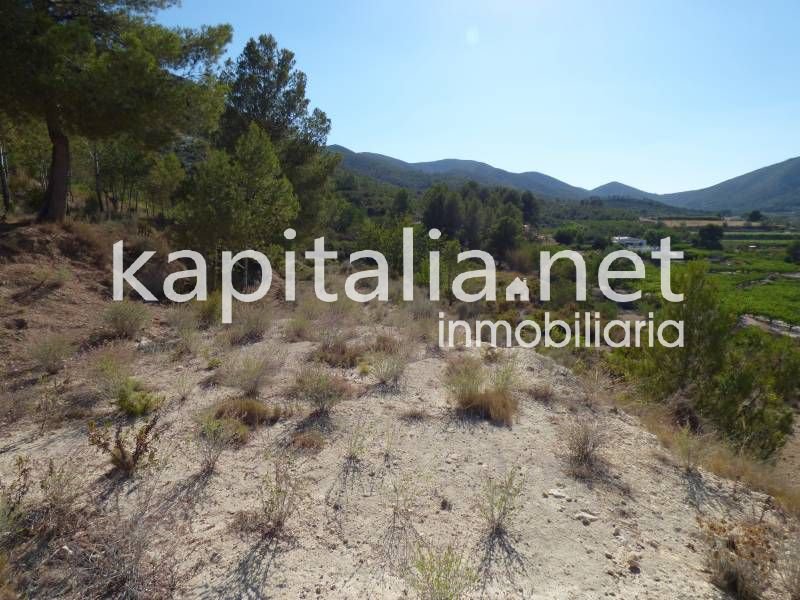 Bouwgrond, Aielo de Malferit, Valencia, Comunidad Valenciana, Spanje