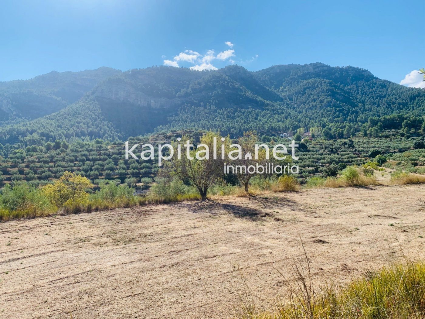 Bouwgrond, Alfafara, Alicante, Comunidad Valenciana, Spanje