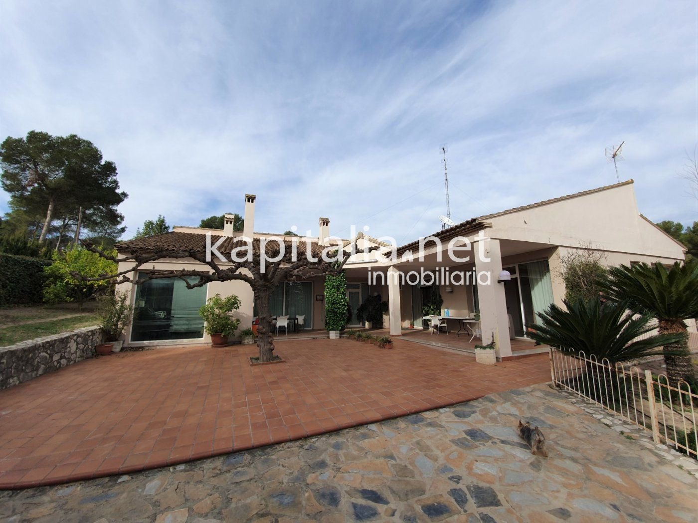 House, Ontinyent, Valencia, Comunidad Valenciana, Spain