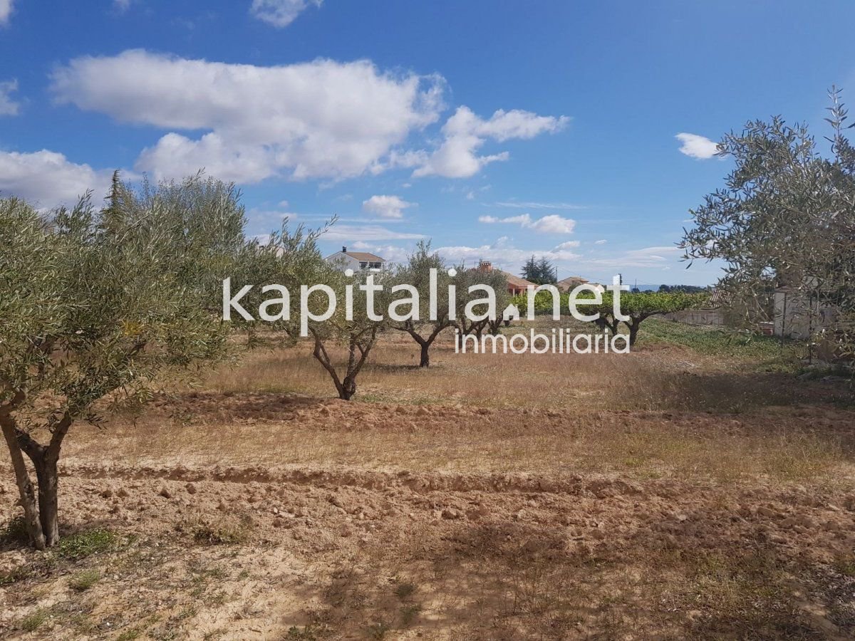 Building plot, Ontinyent, Valencia, Comunidad Valenciana, Spain