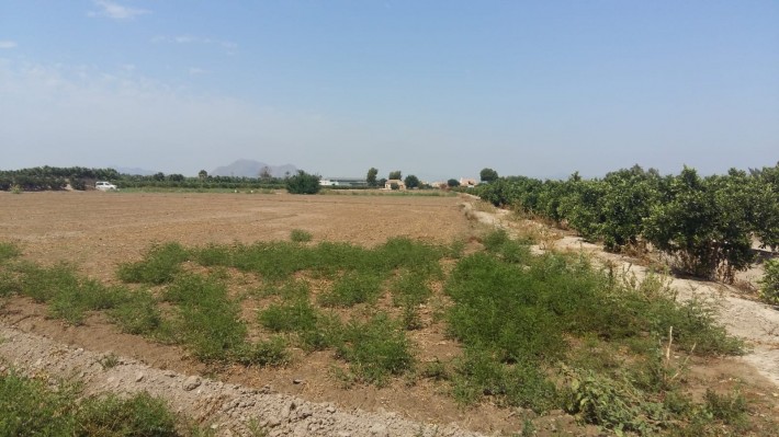 Terreno para construcción, Daya Nueva, Alicante, Comunidad Valenciana, España