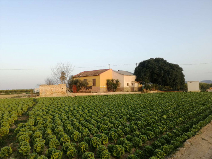 Casa independiente, Orihuela, Alicante, Comunidad Valenciana, España