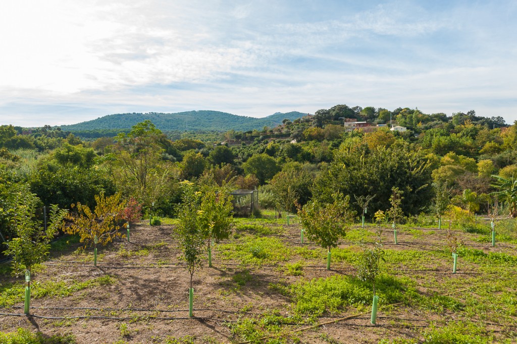 Homes Spain